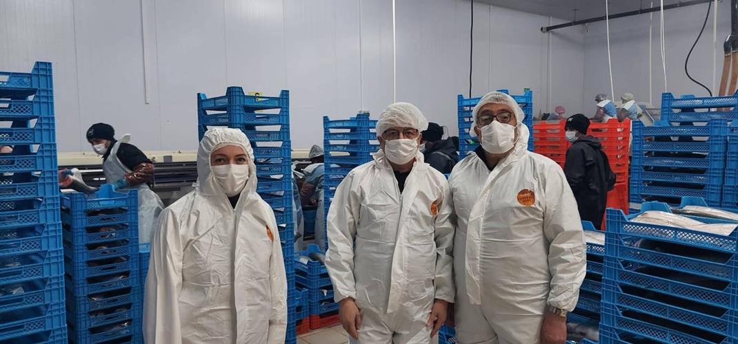 TÜRK SOMONU üretim üssü olan İlimizde su ürünleri işleme tesislerinde denetim ve kontrol çalışmalarına devam ediyoruz.